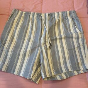 Striped Men's casual Shorts
American Eagle
Men’s large